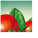 Cranberry